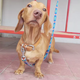 Image for article titled These Photos Were Taken By A Dog